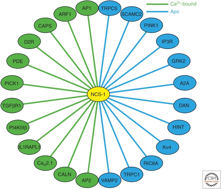 Figure 5.