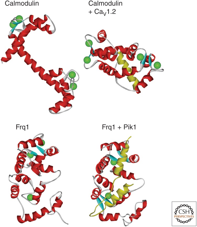 Figure 3.