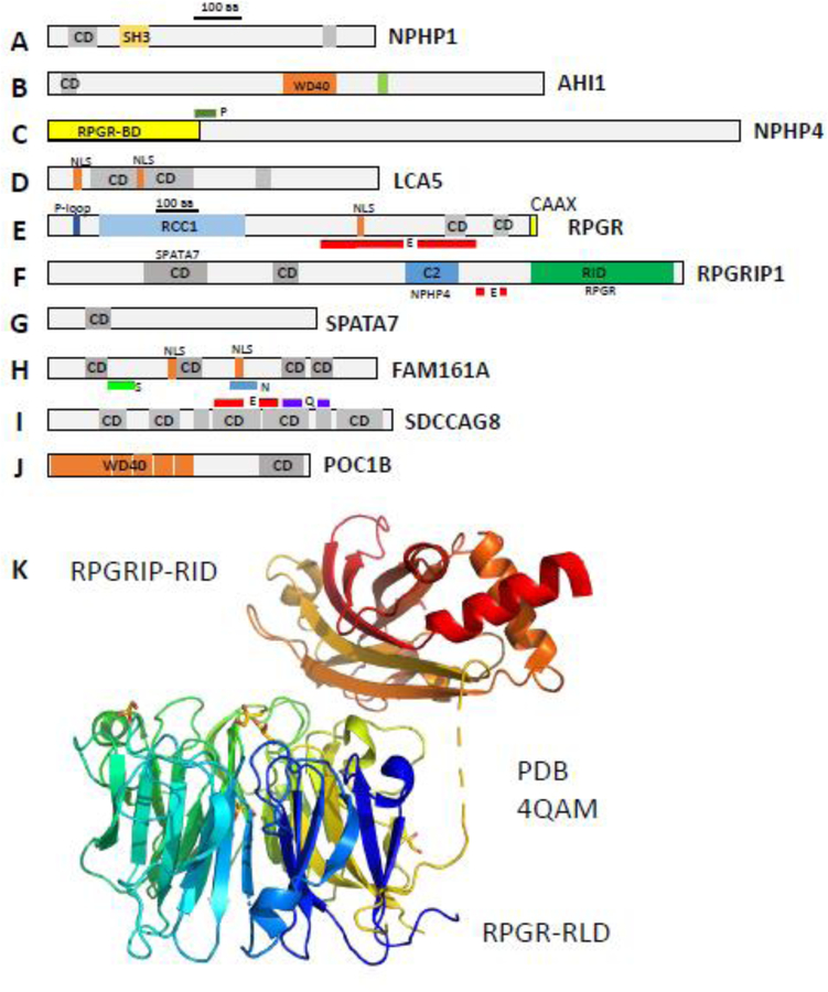 Figure 17.