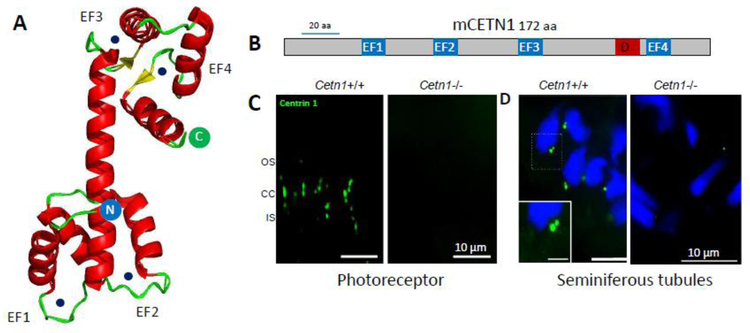 Figure 6.