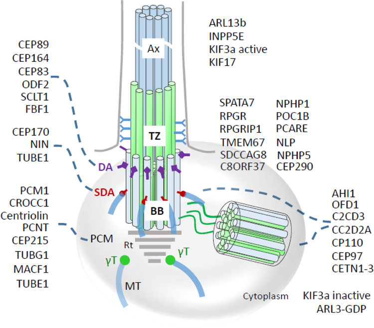 Figure 5.