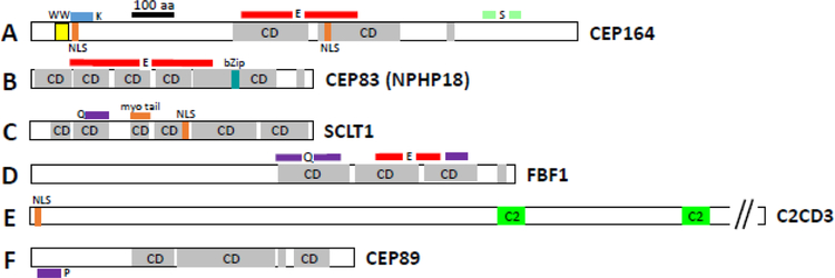 Figure 9.