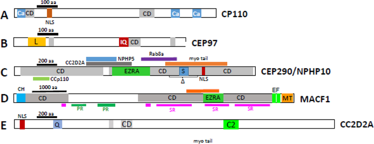 Figure 11.