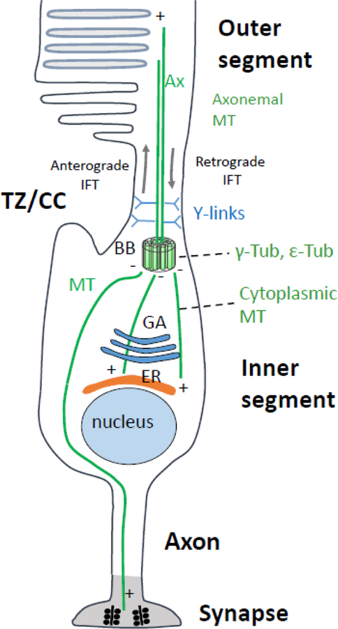 Figure 10.