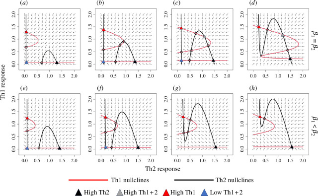 Phase portraits for the dimensionless immune model