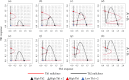 Phase portraits for the dimensionless immune model