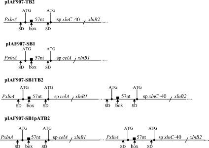 FIG. 1.