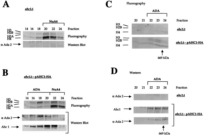 FIG. 6