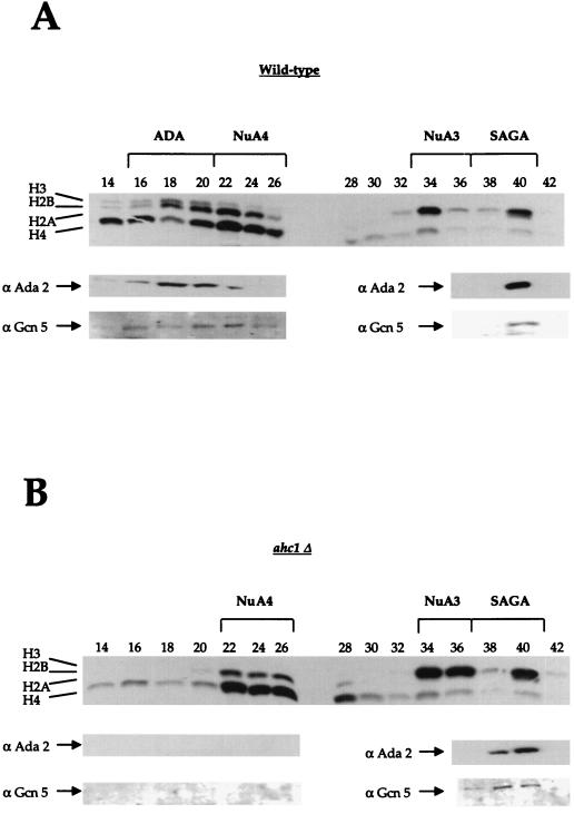 FIG. 5