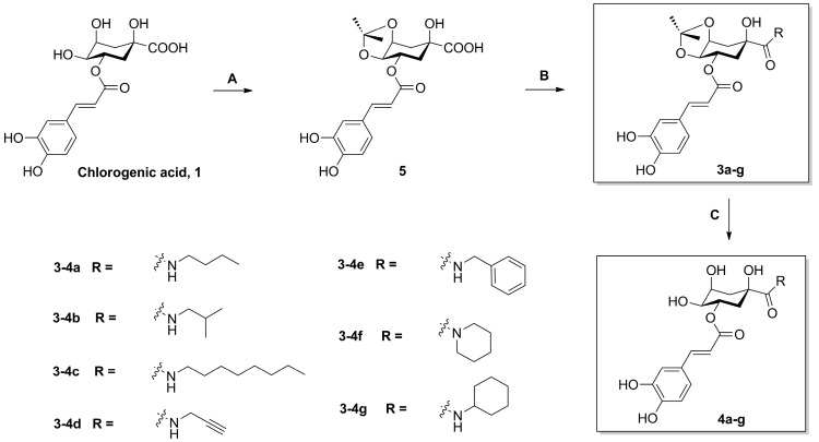 Scheme 1