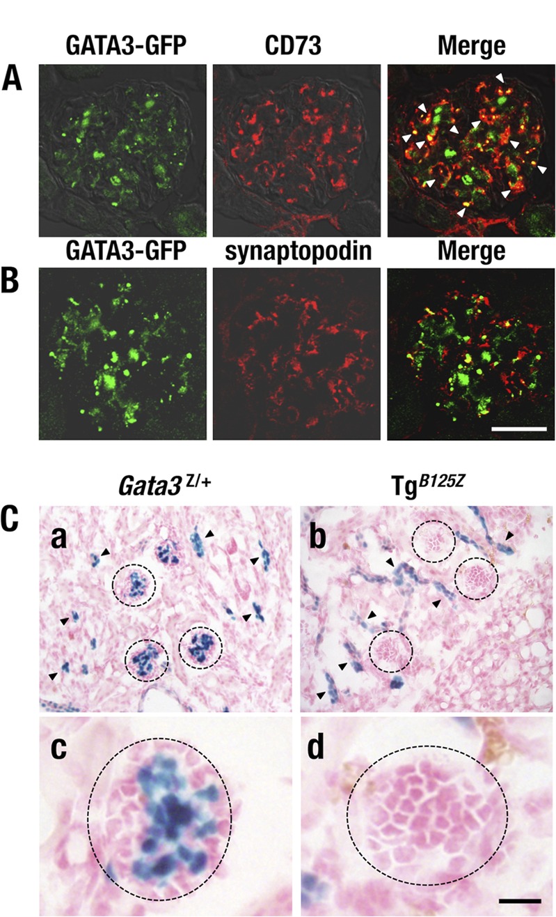 FIG 6