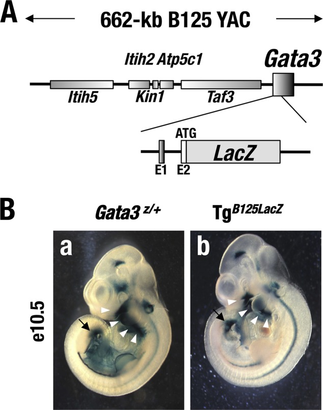 FIG 3