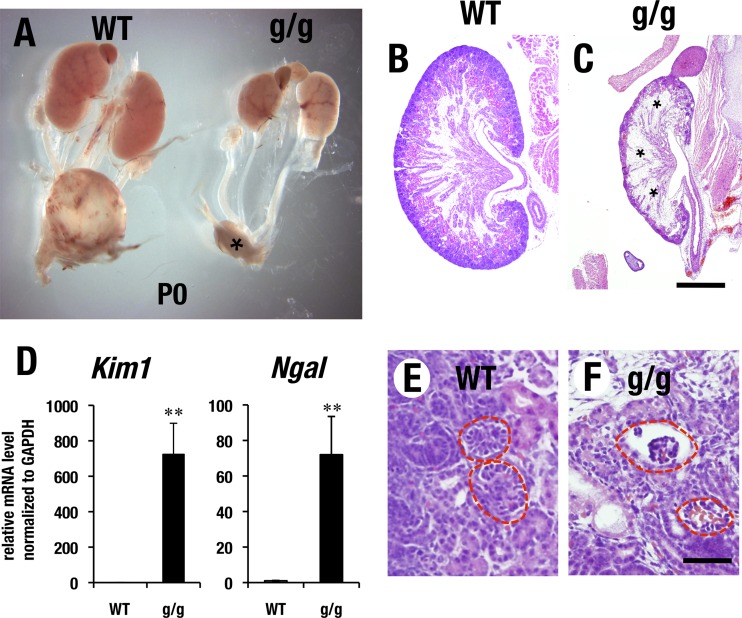 FIG 2