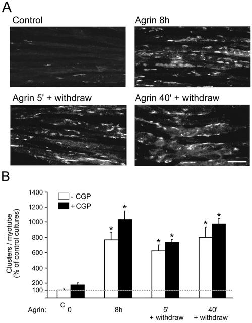 FIG. 7.