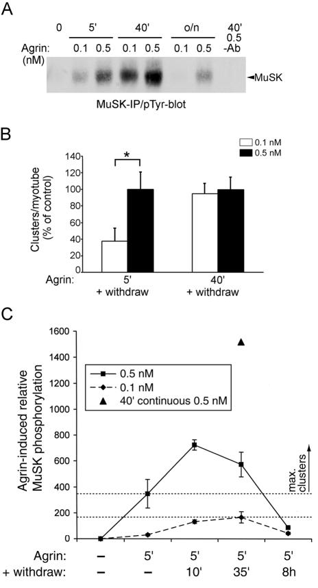 FIG. 9.