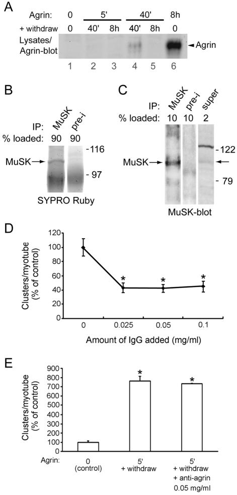 FIG. 8.