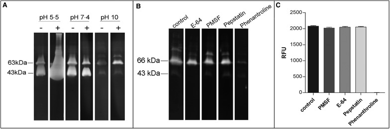 Fig. 4.