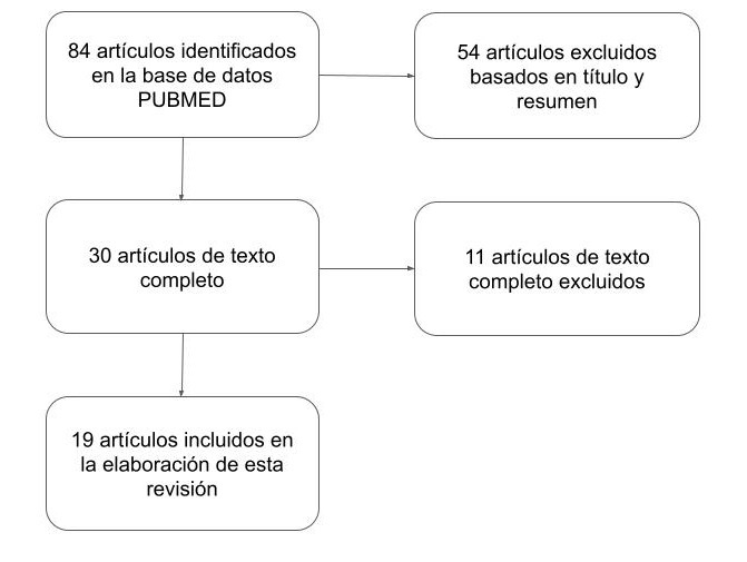 Figura I