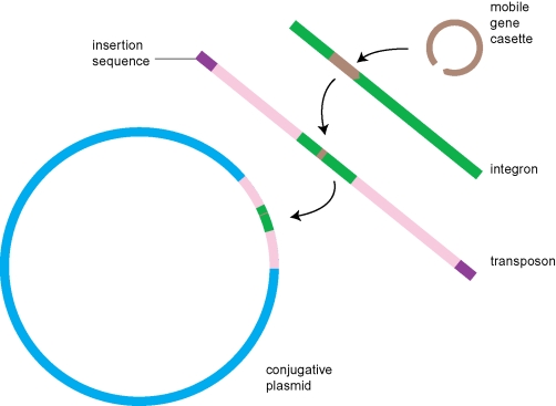 Figure 2.