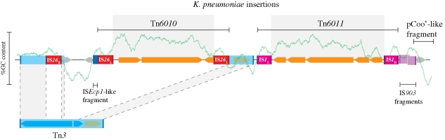 Figure 3.