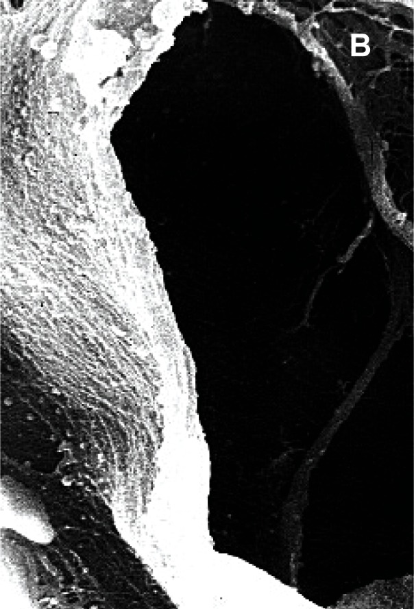 Figure 3 (a,b,c).