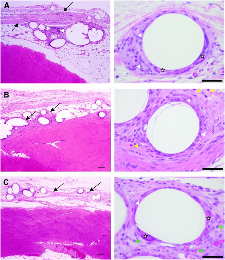 FIG. 6.