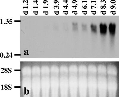 FIG. 7.