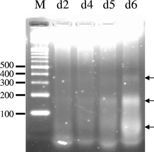 FIG. 3.