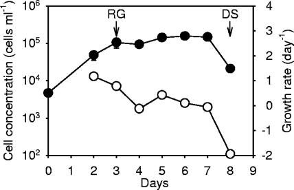 FIG. 1.