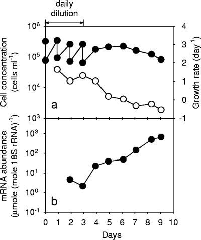 FIG. 6.