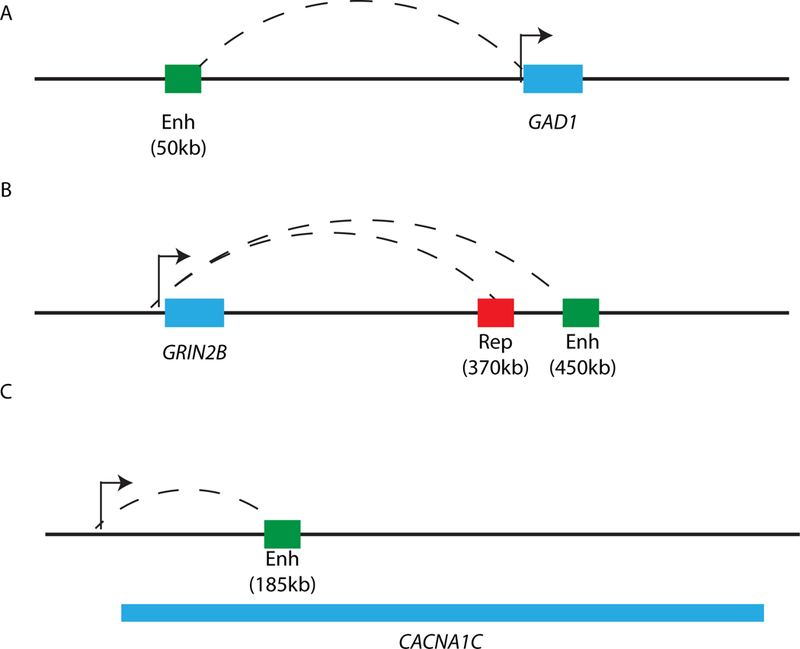 Figure 2.3: