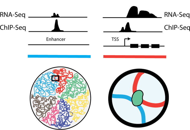 Figure 2.1: