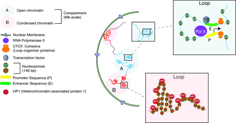 Figure 2.2: