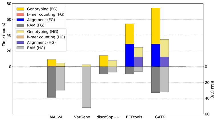 Figure 1