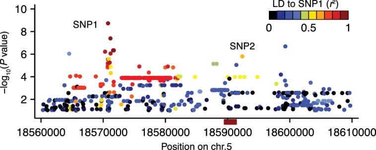 Figure 2—figure supplement 2.