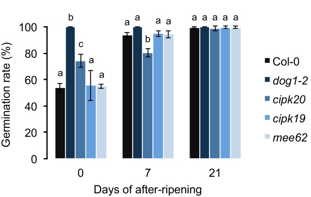 Figure 2—figure supplement 1.