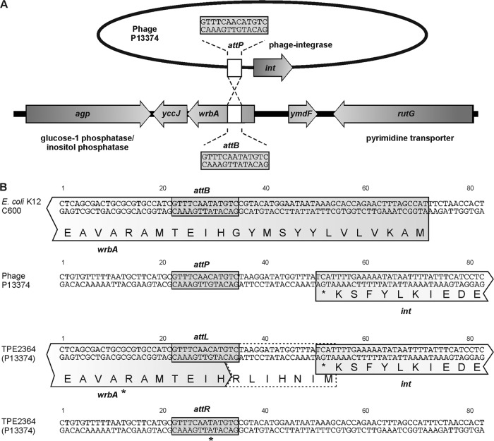 Fig 8