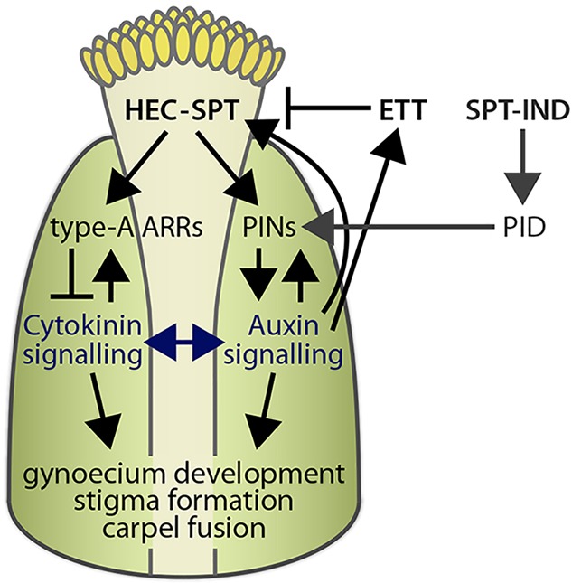 Fig. 7.