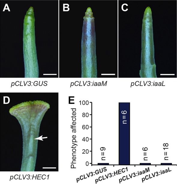 Fig. 5.