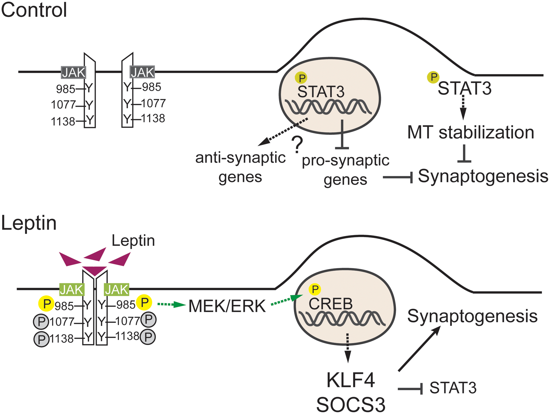 Figure 7: