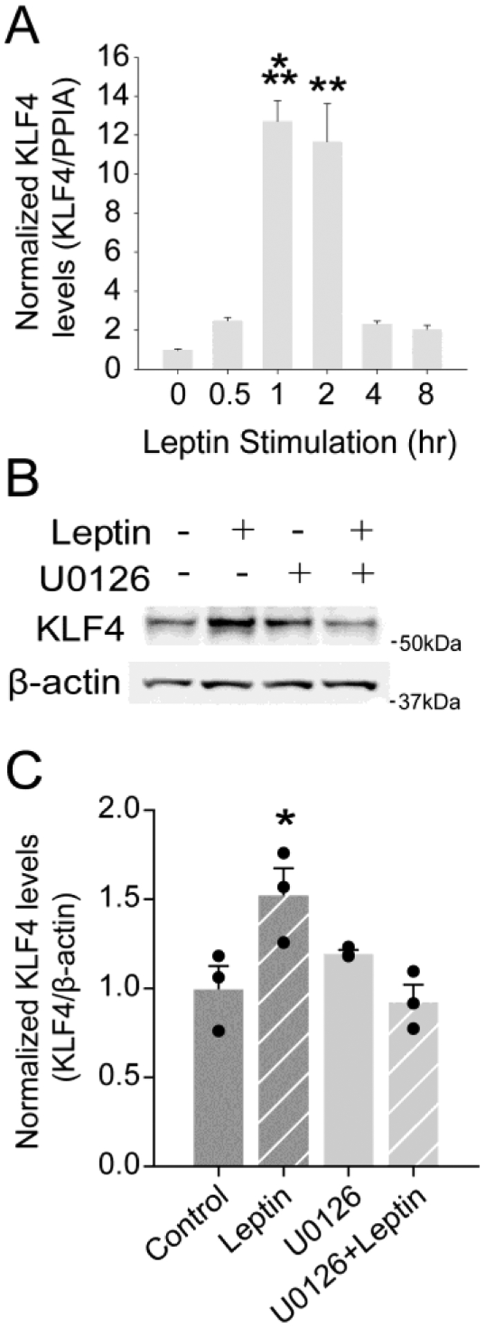 Figure 1: