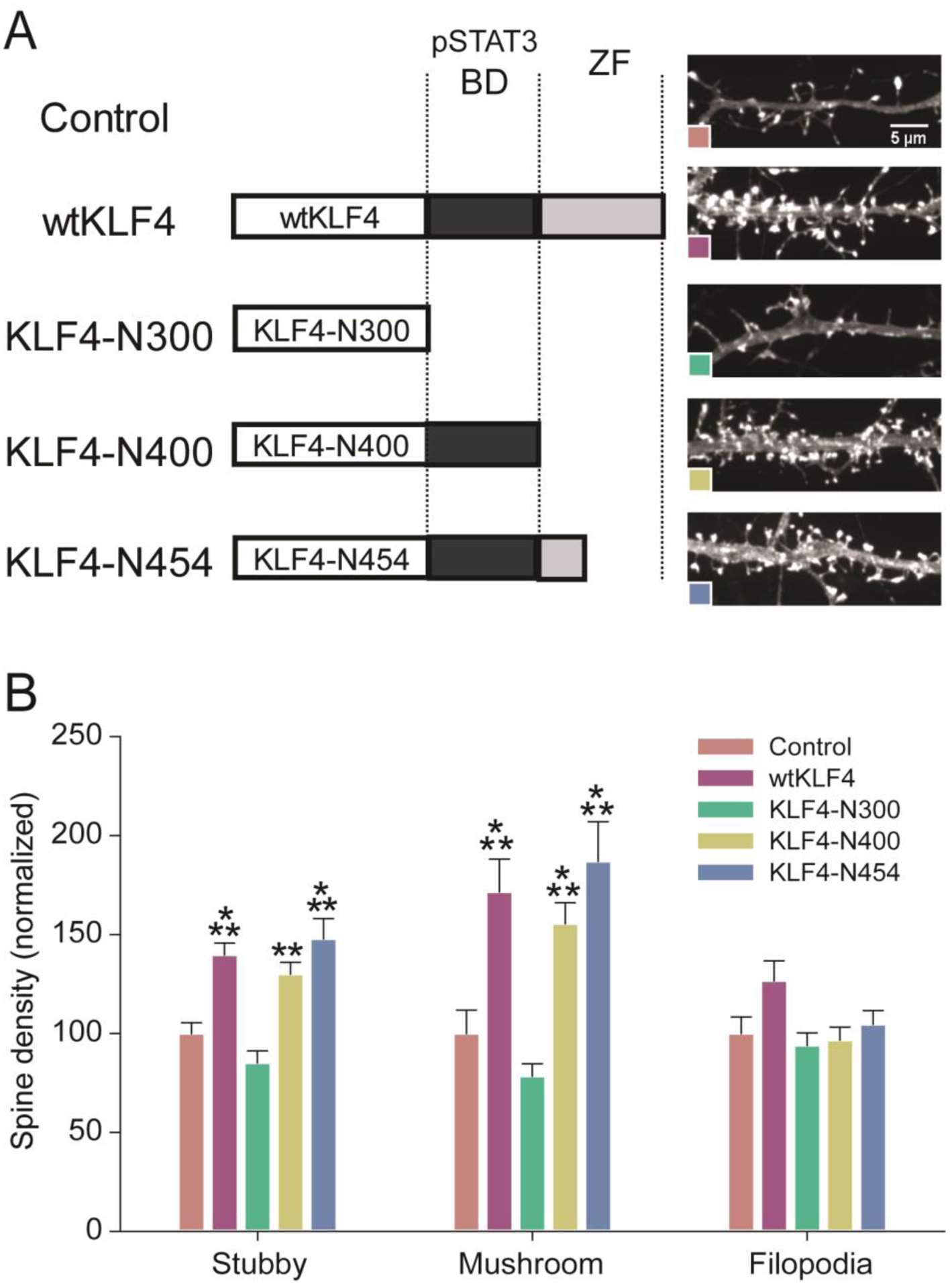 Figure 4: