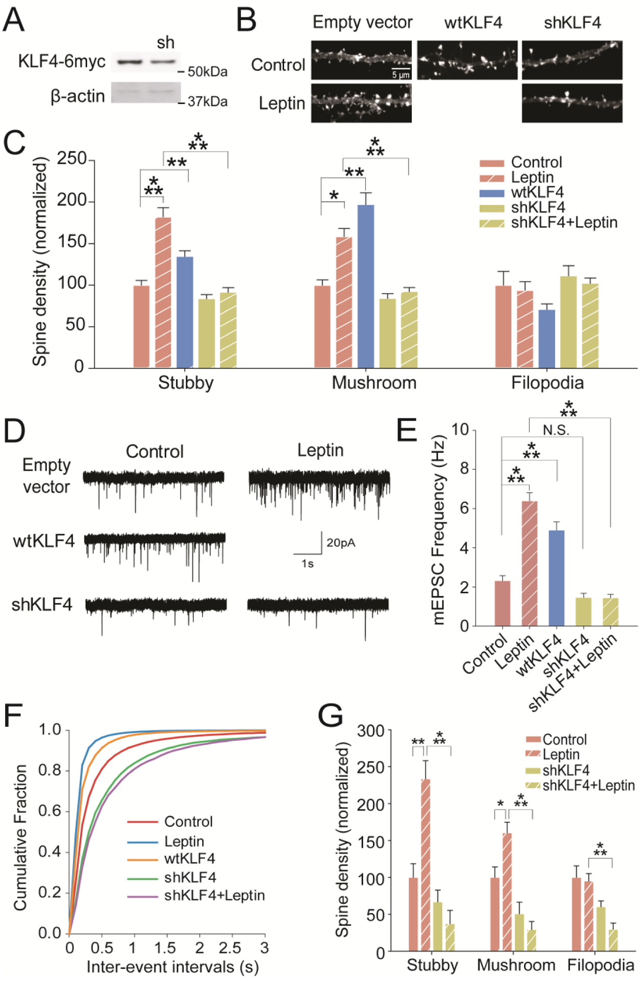 Figure 3: