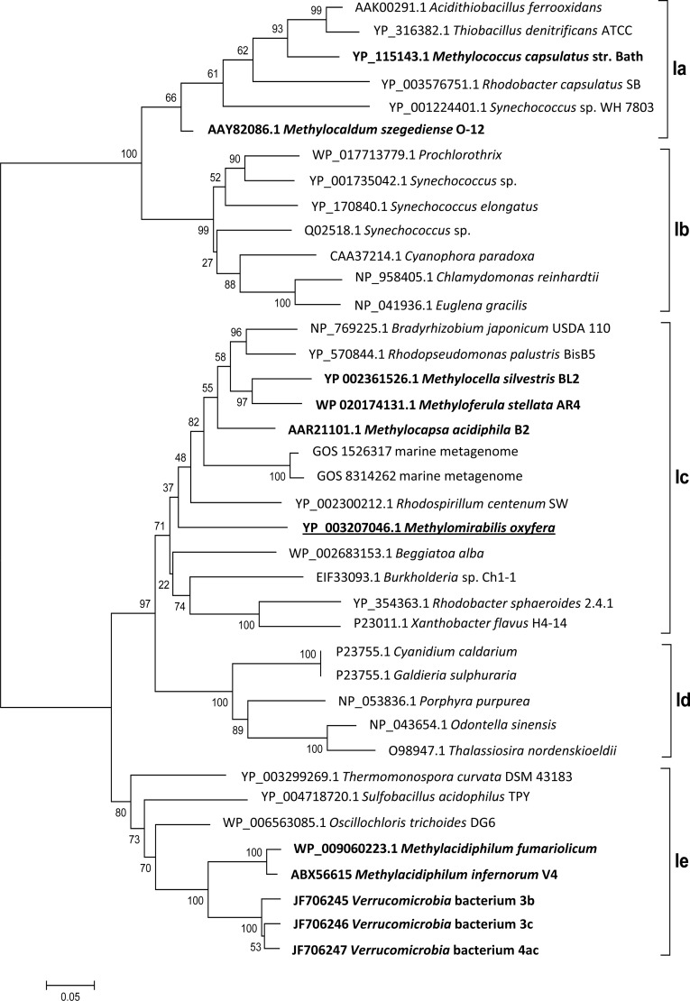 FIG 2