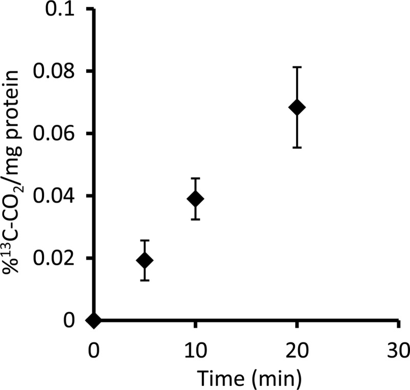 FIG 3