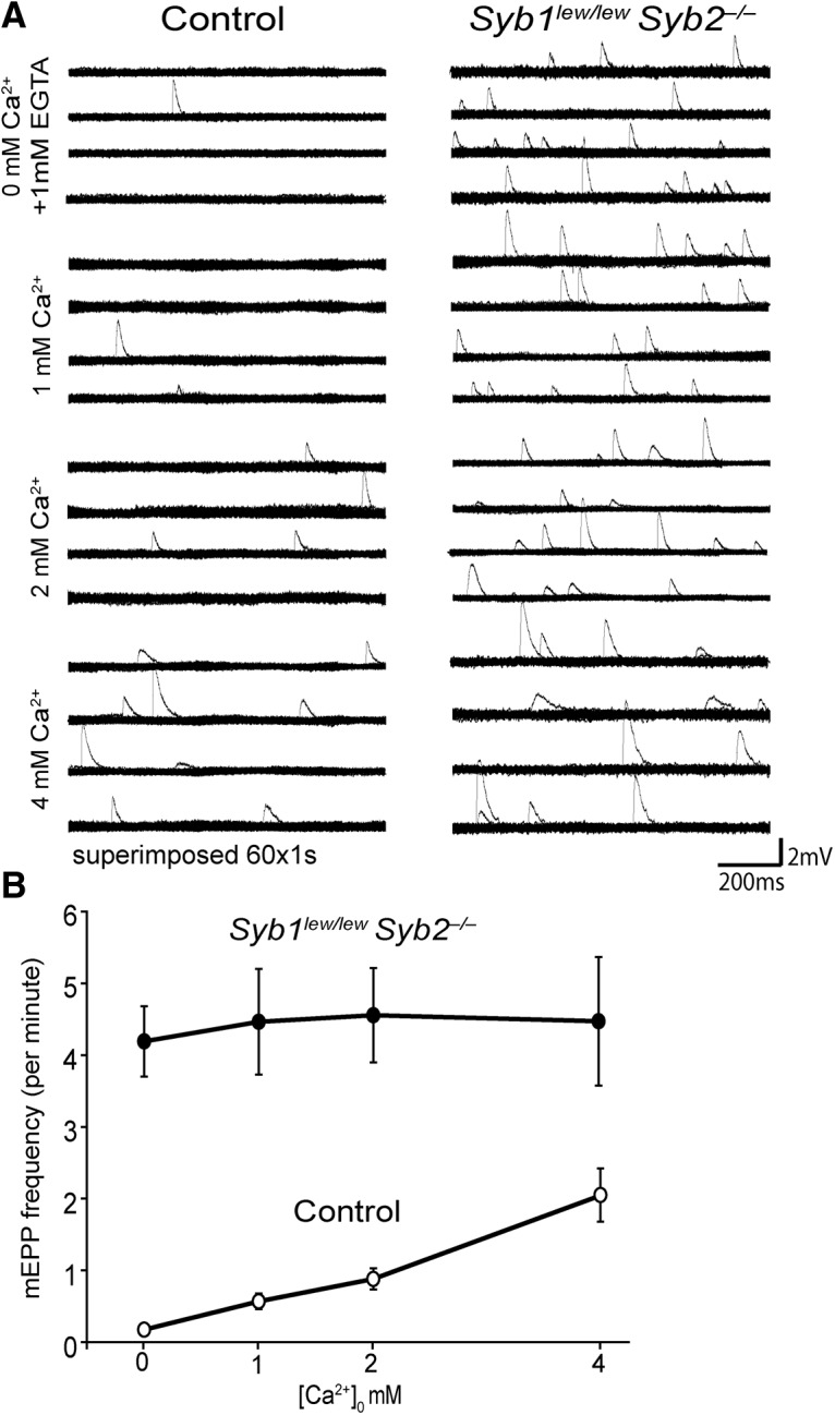 Figure 10.