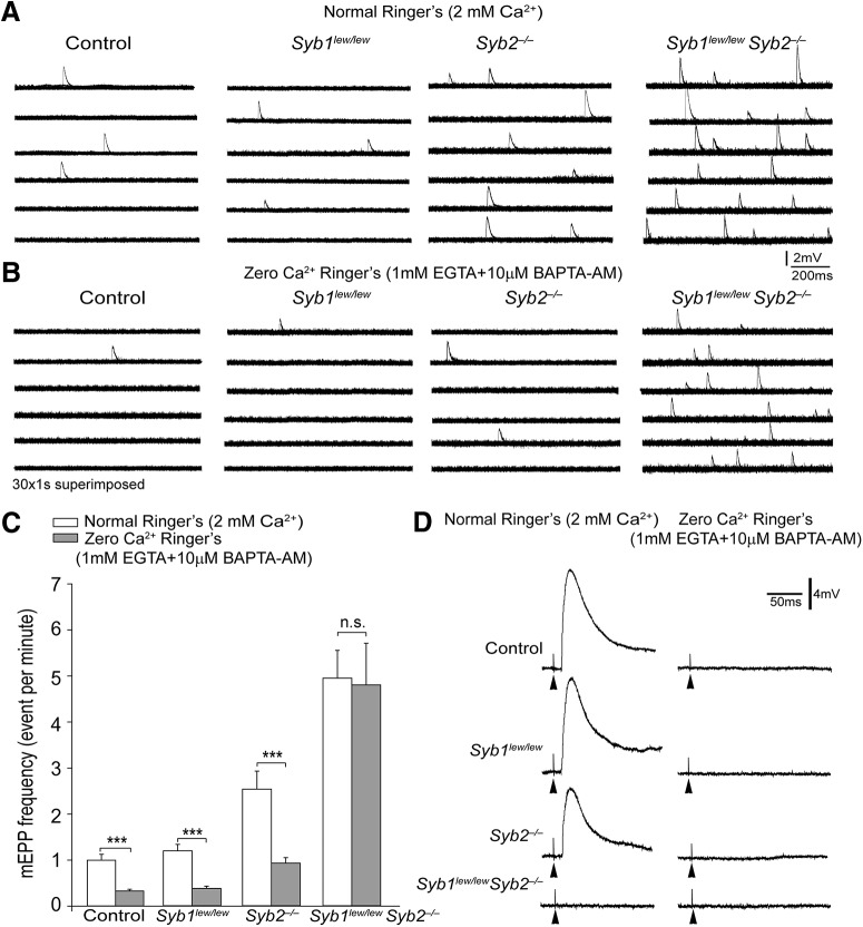 Figure 12.