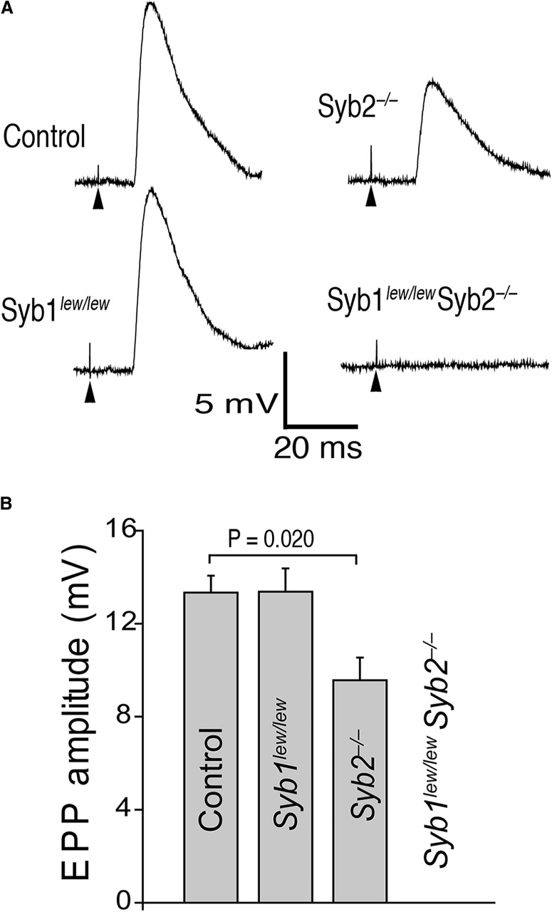 Figure 6.