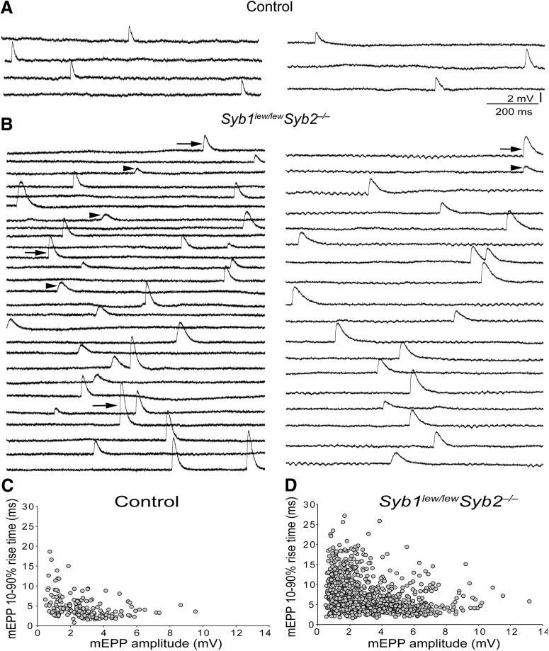 Figure 9.