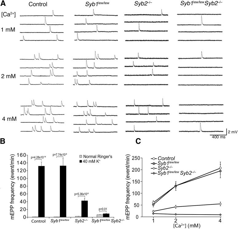 Figure 11.